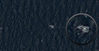 Large and strange life in our oceans