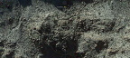 Giant Thunderbird Petroglyph