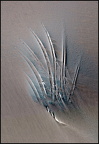 iuygiufgi C